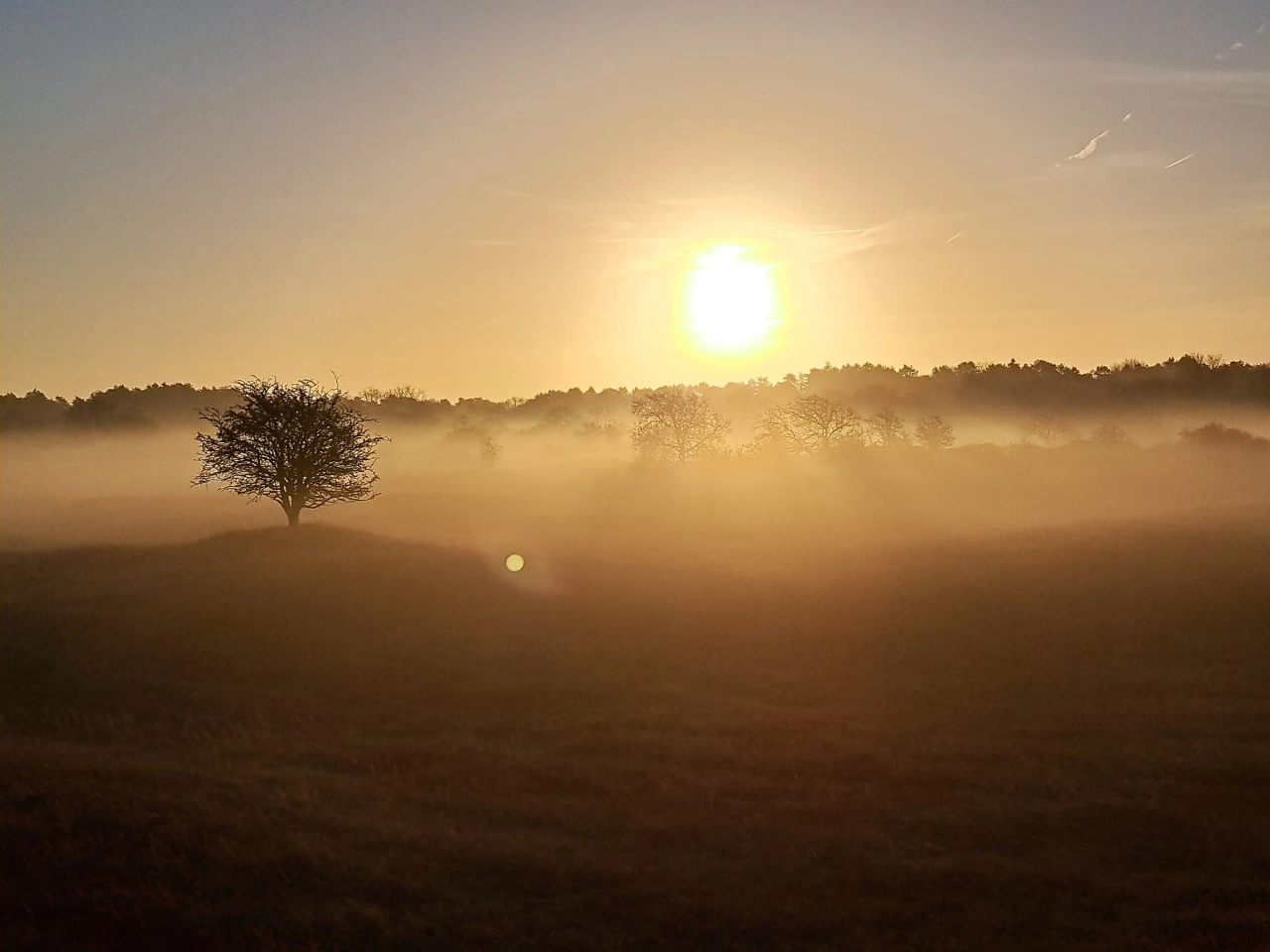 Mooi duinen landschap